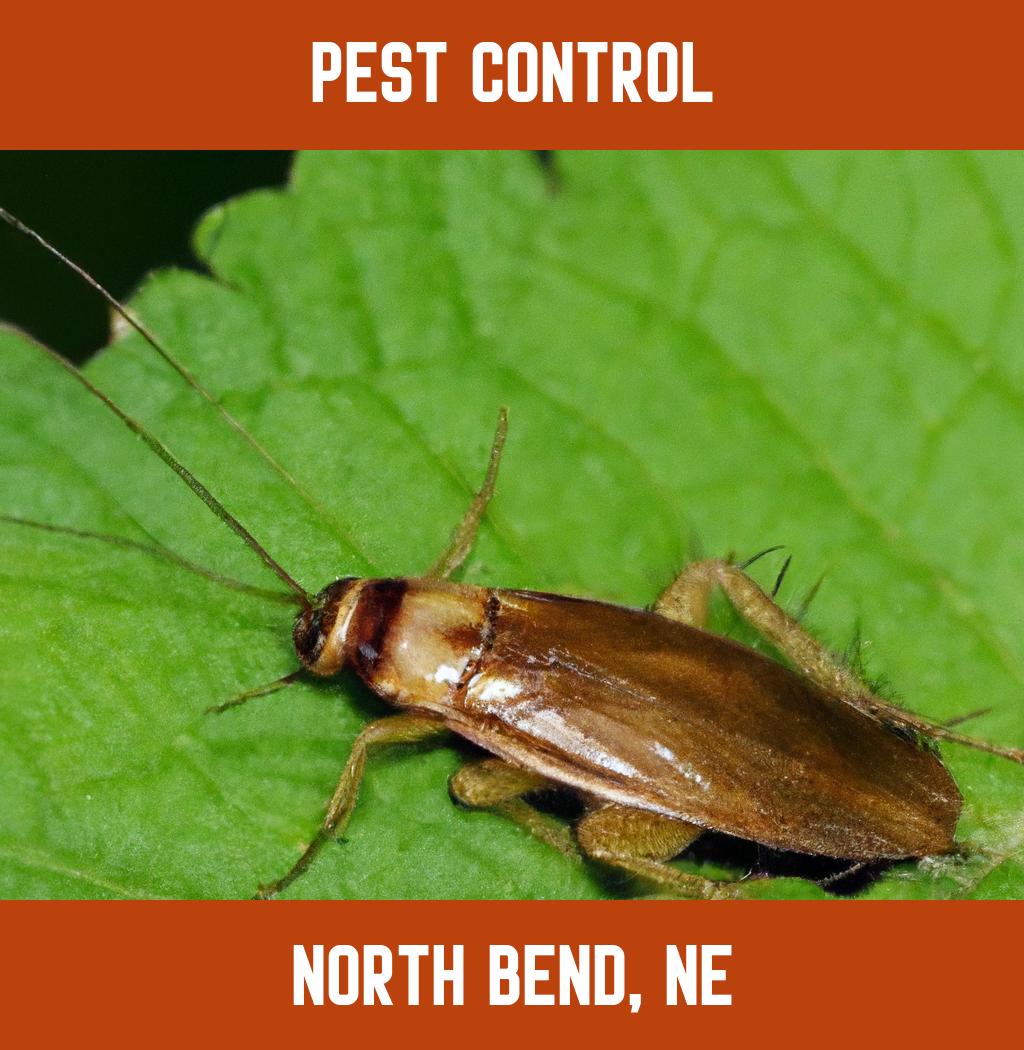 pest control in North Bend Nebraska