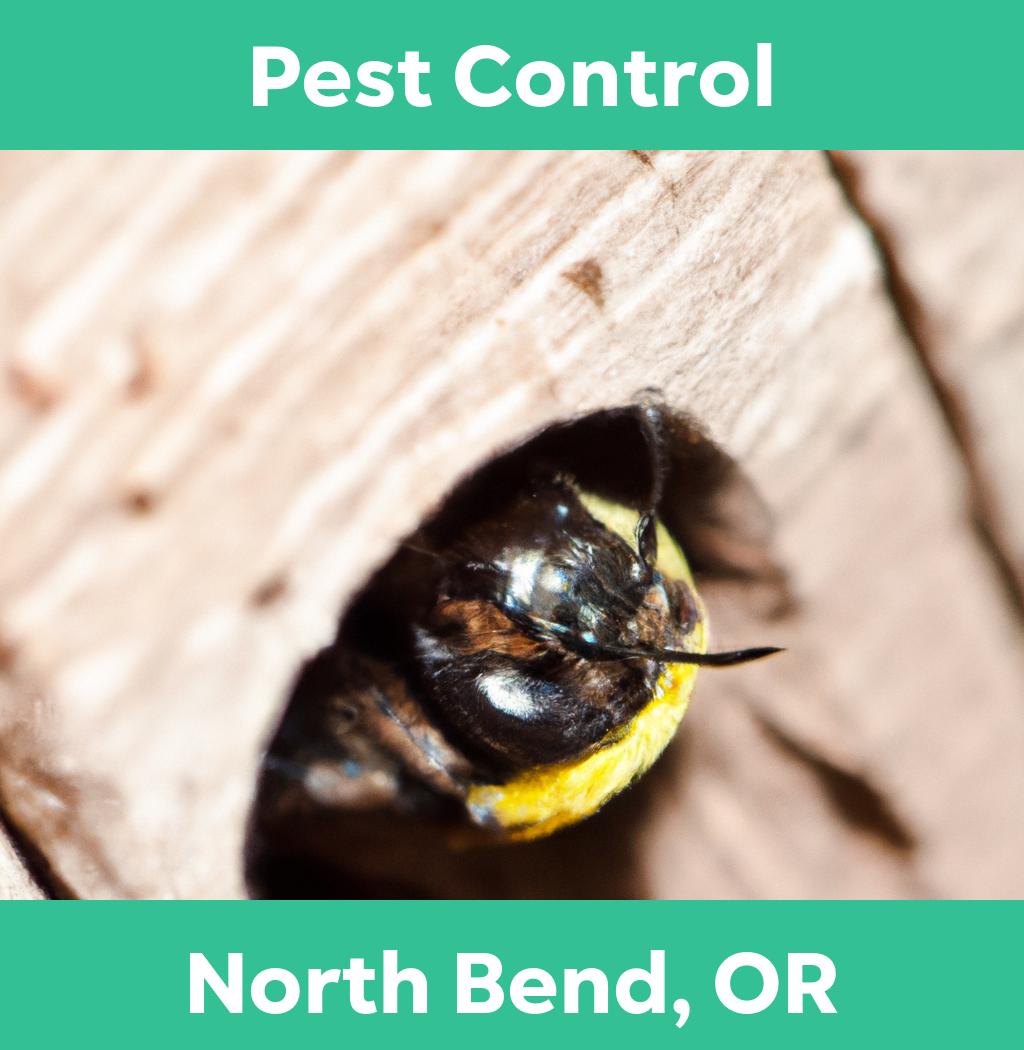 pest control in North Bend Oregon