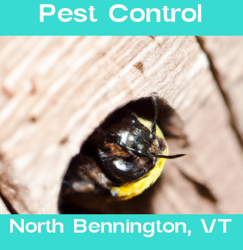 pest control in North Bennington Vermont