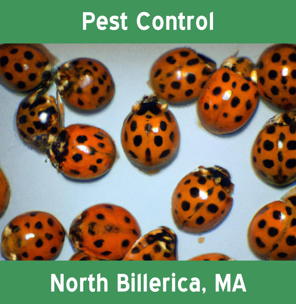 pest control in North Billerica Massachusetts