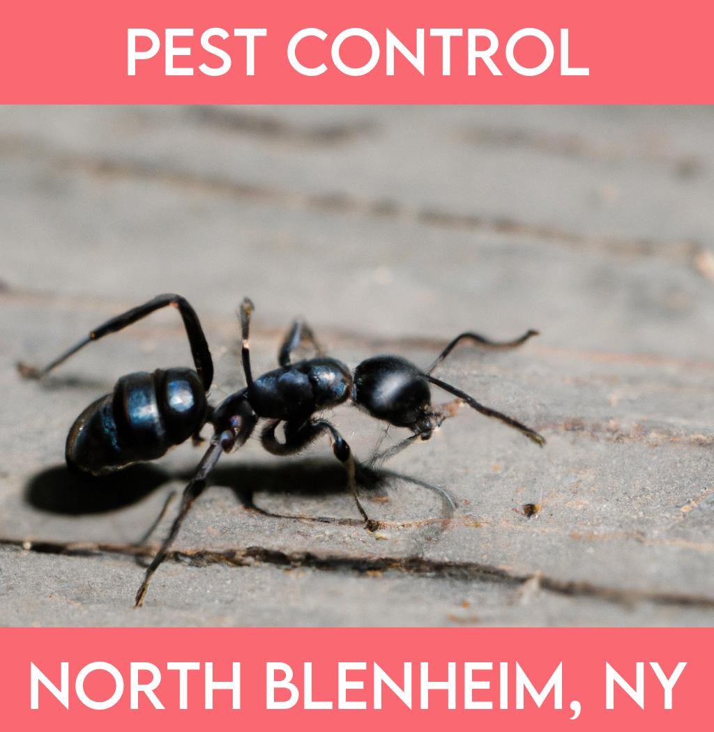 pest control in North Blenheim New York