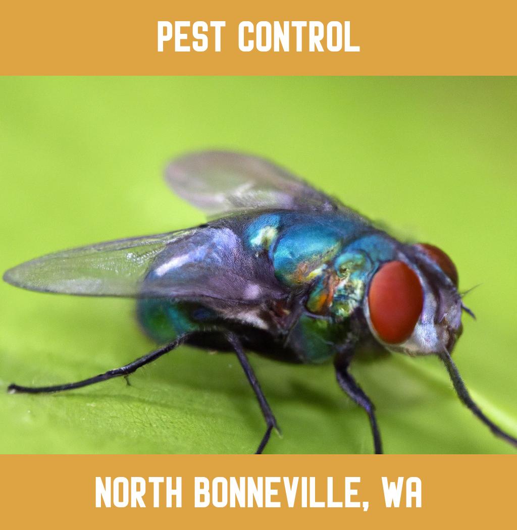 pest control in North Bonneville Washington