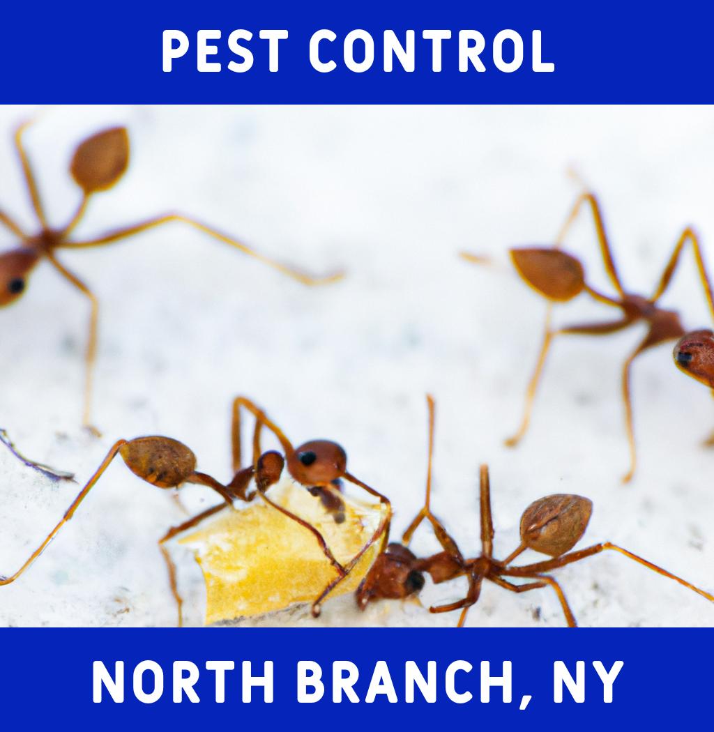 pest control in North Branch New York