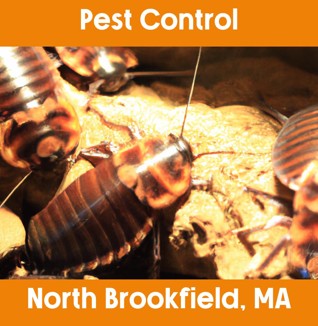 pest control in North Brookfield Massachusetts