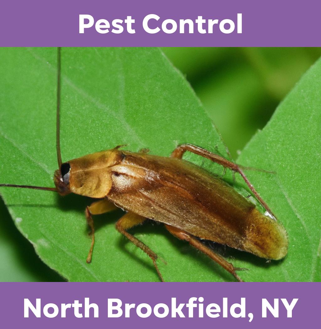 pest control in North Brookfield New York