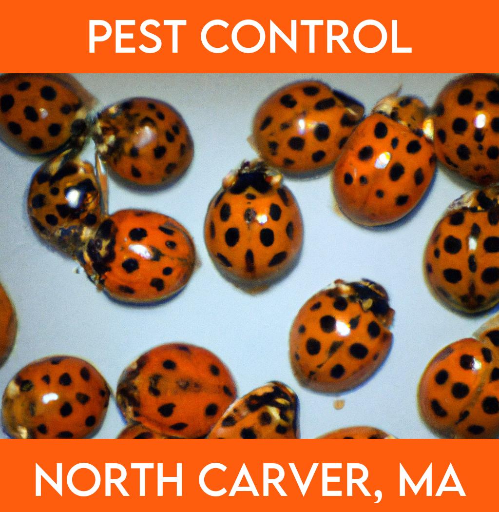 pest control in North Carver Massachusetts