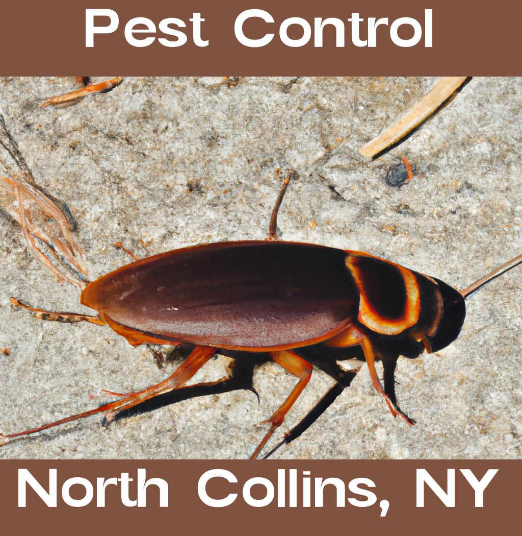 pest control in North Collins New York