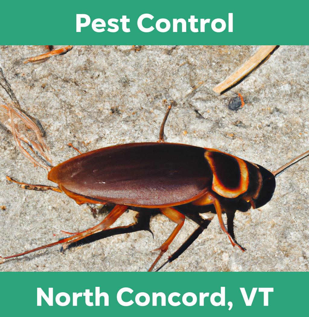 pest control in North Concord Vermont