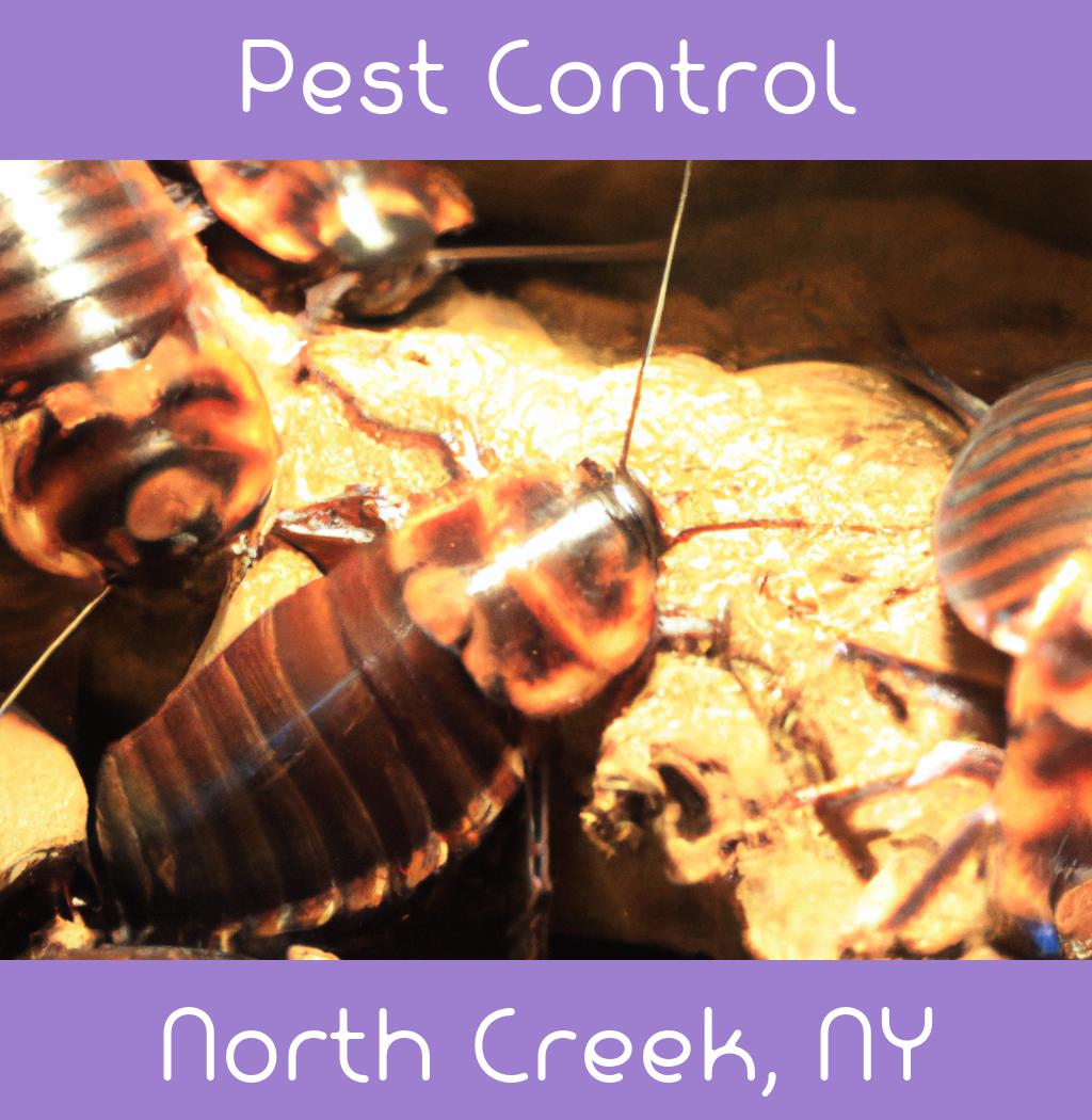 pest control in North Creek New York