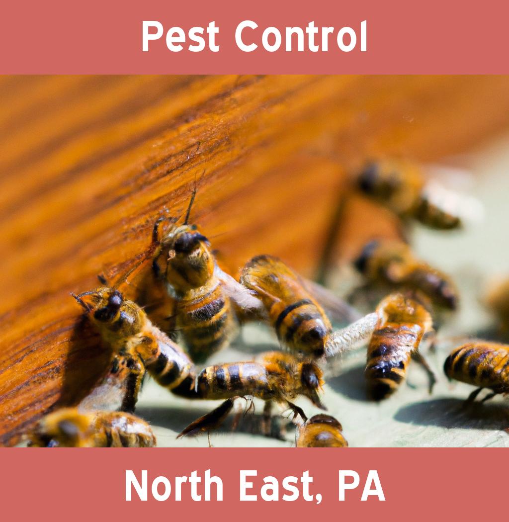 pest control in North East Pennsylvania