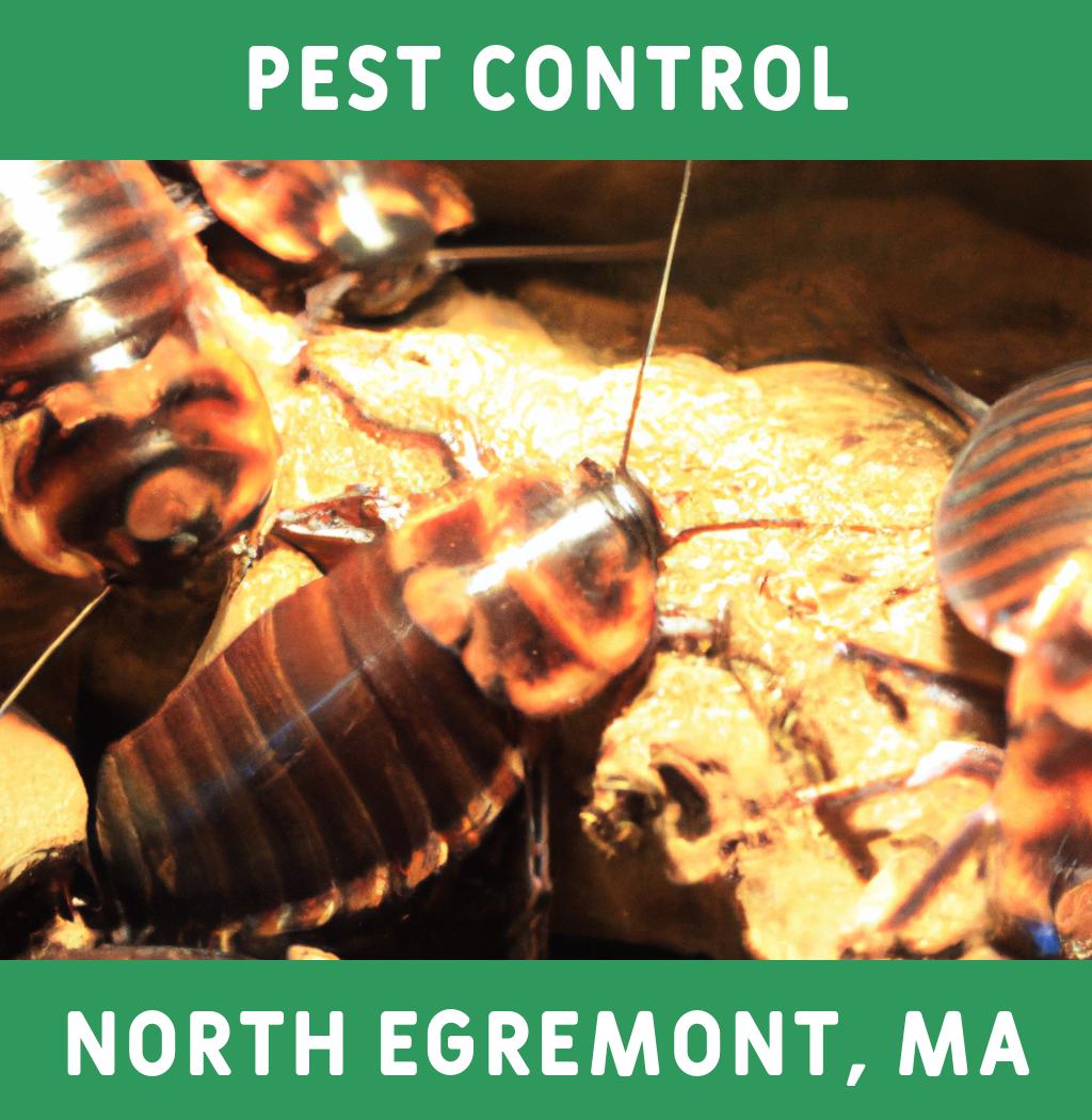 pest control in North Egremont Massachusetts