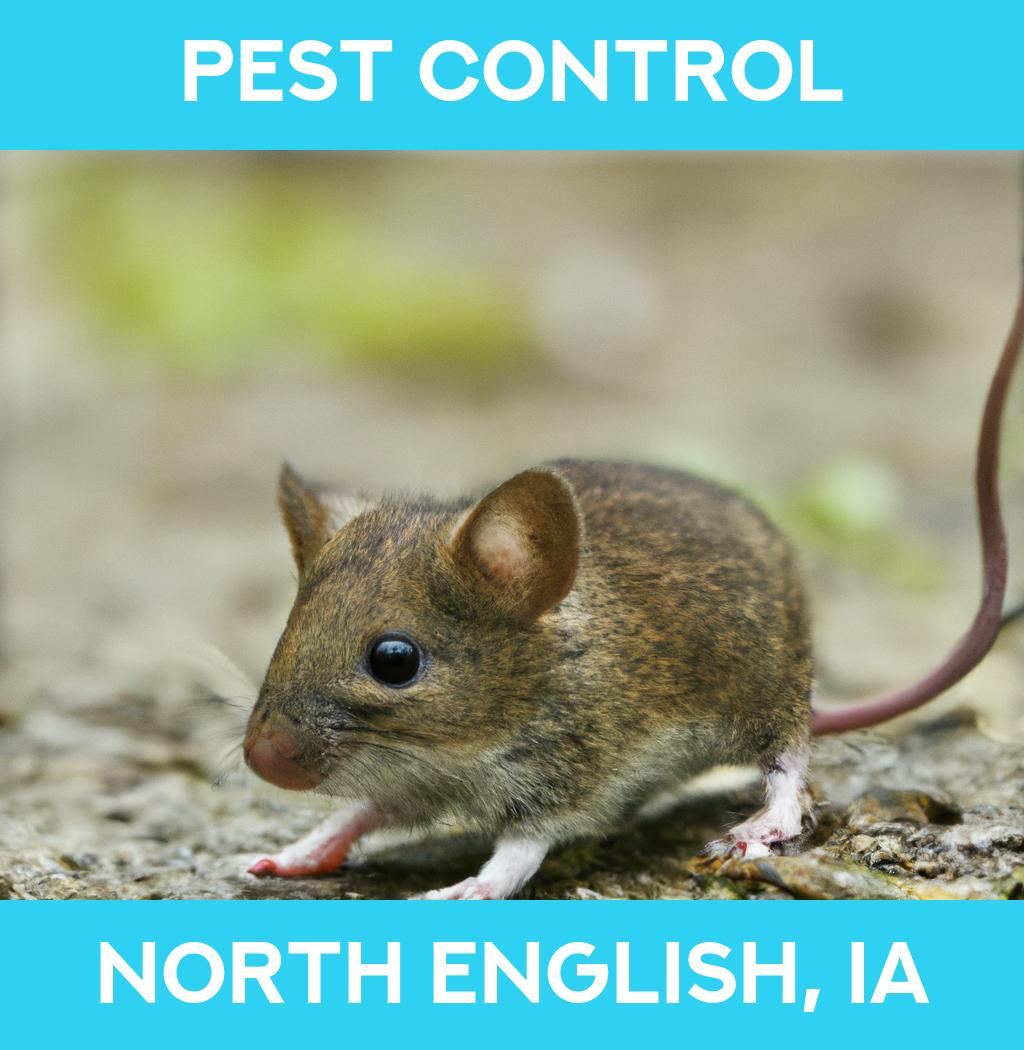 pest control in North English Iowa