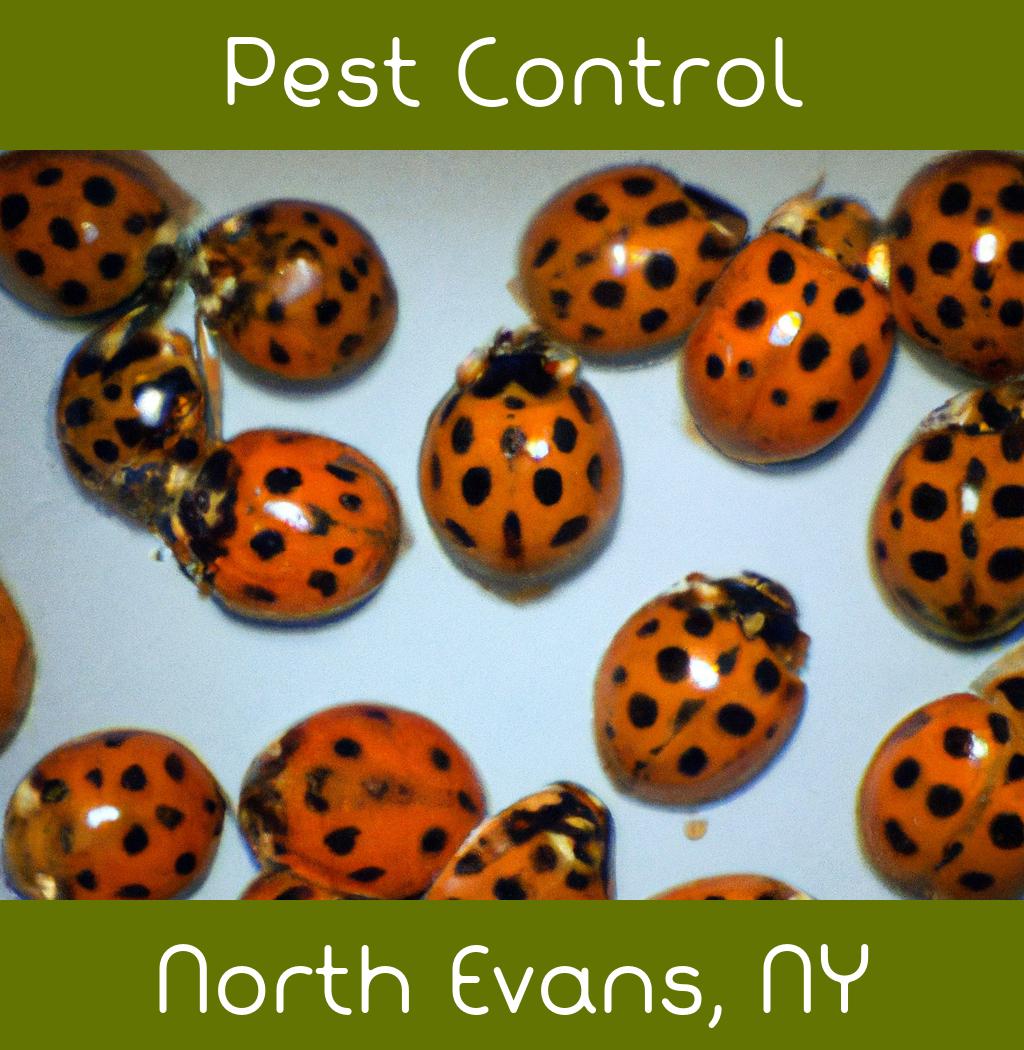 pest control in North Evans New York