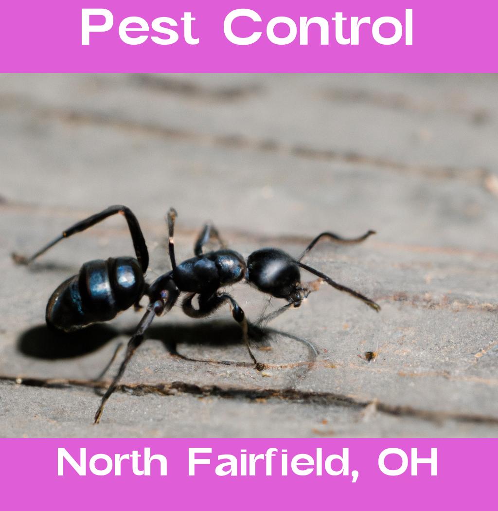 pest control in North Fairfield Ohio