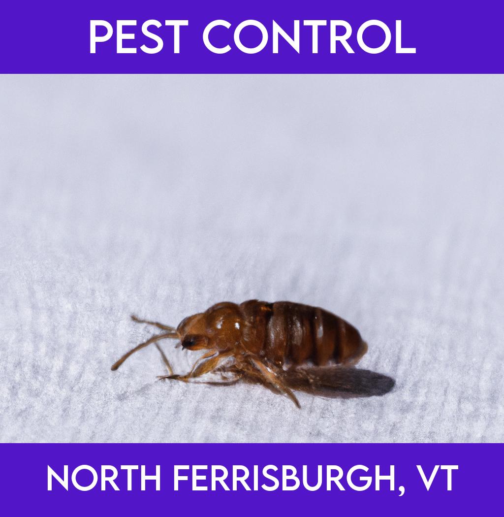 pest control in North Ferrisburgh Vermont