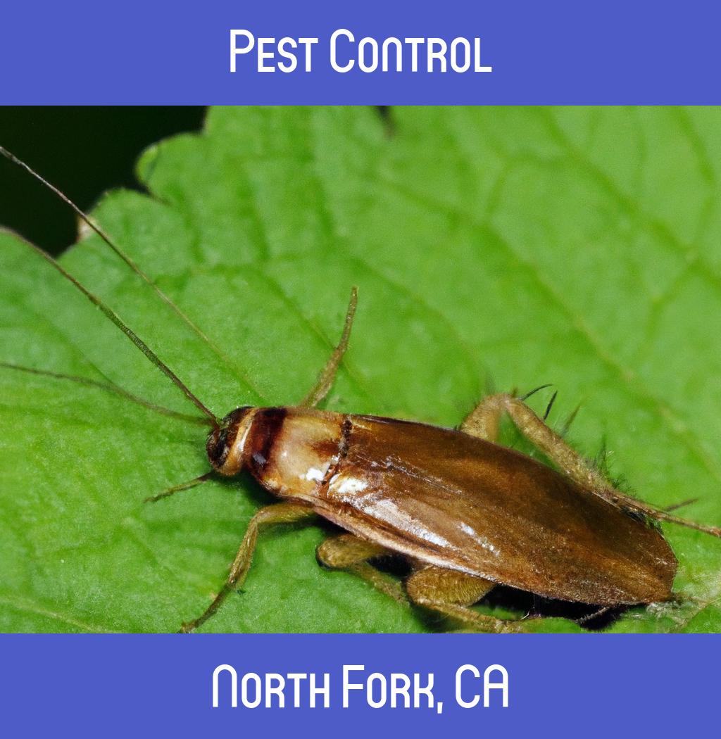 pest control in North Fork California