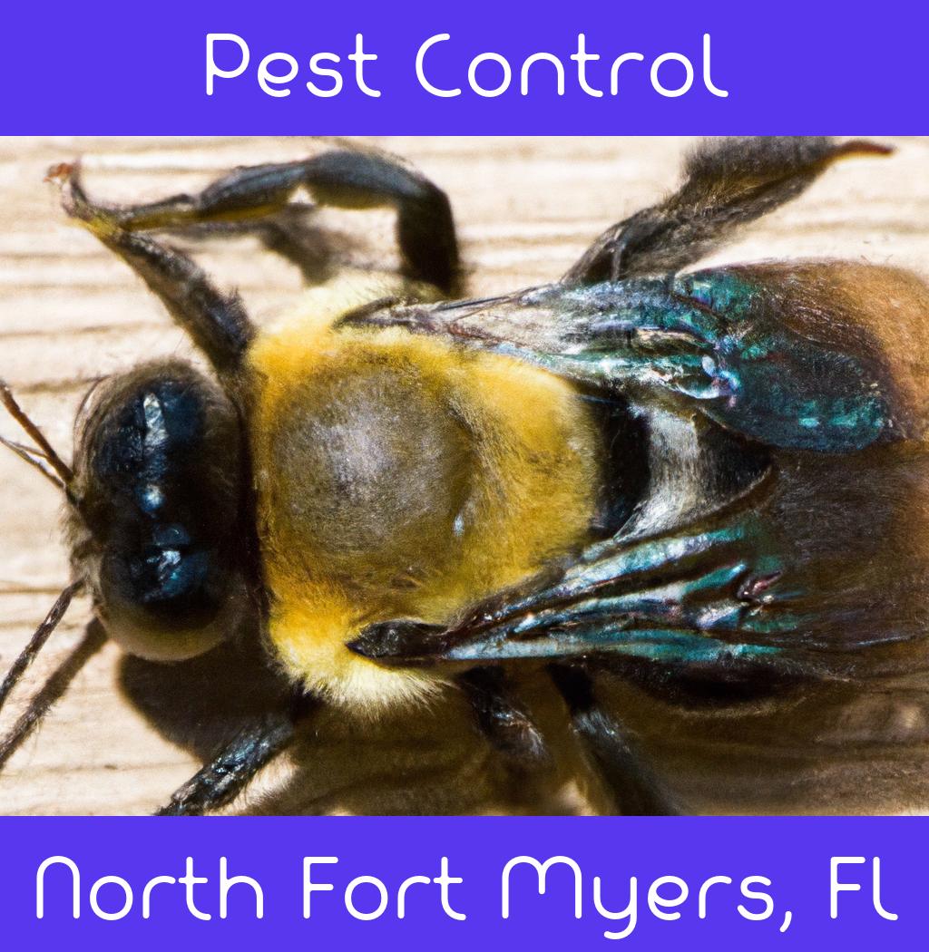 pest control in North Fort Myers Florida
