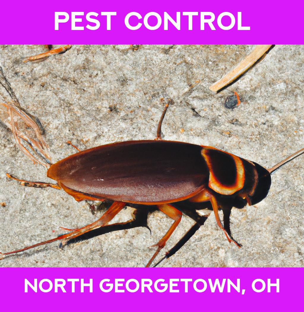 pest control in North Georgetown Ohio