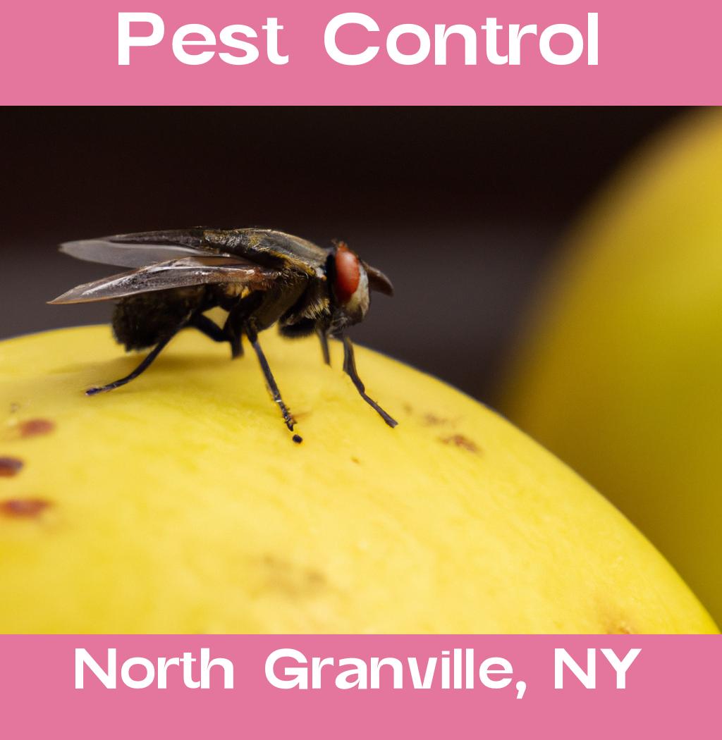 pest control in North Granville New York