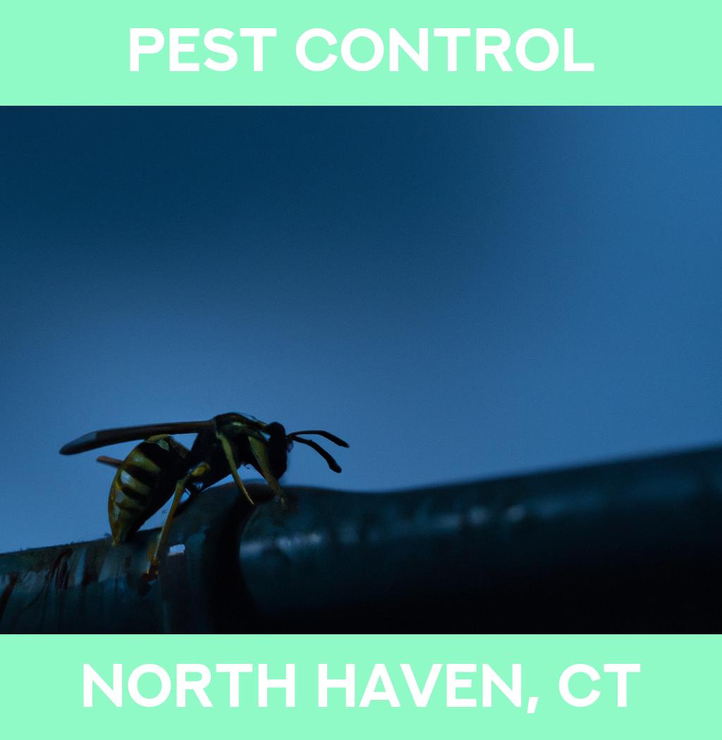 pest control in North Haven Connecticut