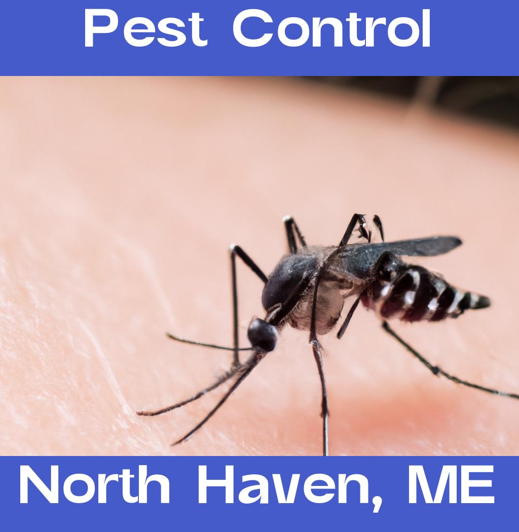 pest control in North Haven Maine