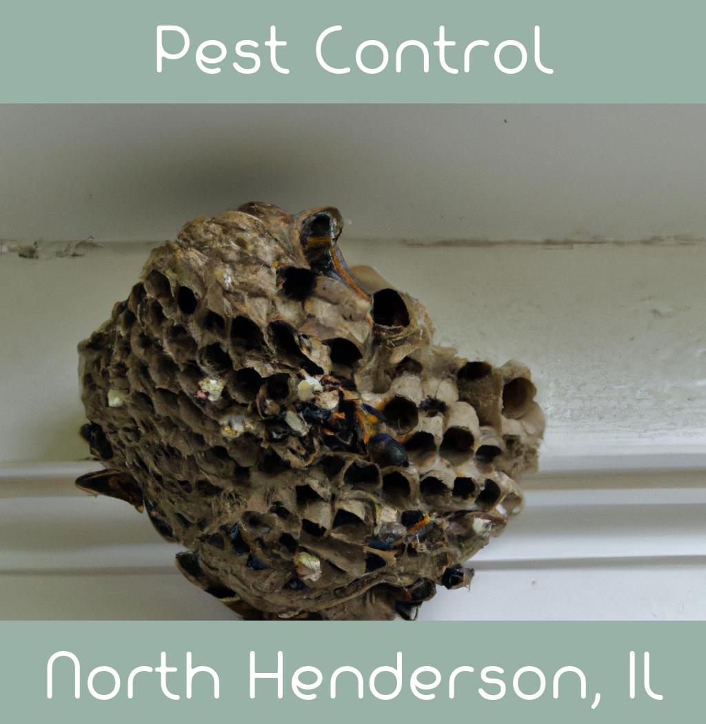 pest control in North Henderson Illinois
