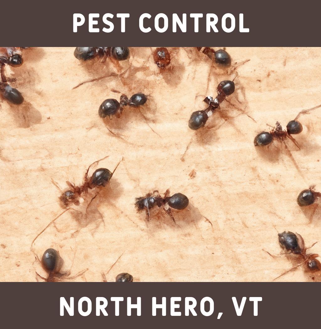 pest control in North Hero Vermont