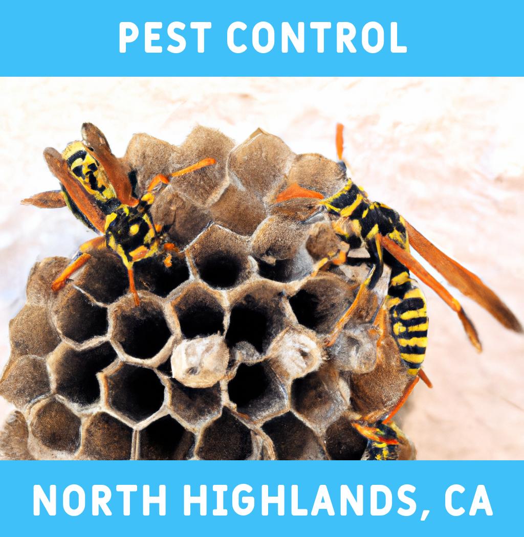pest control in North Highlands California