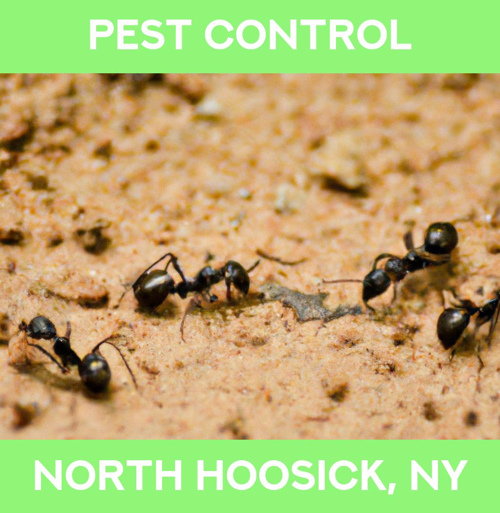 pest control in North Hoosick New York