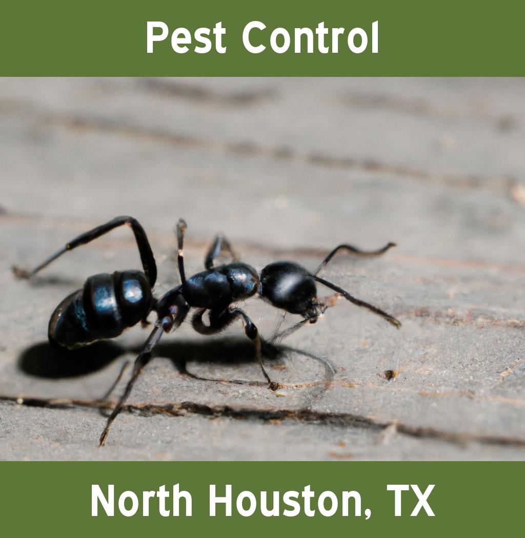 pest control in North Houston Texas