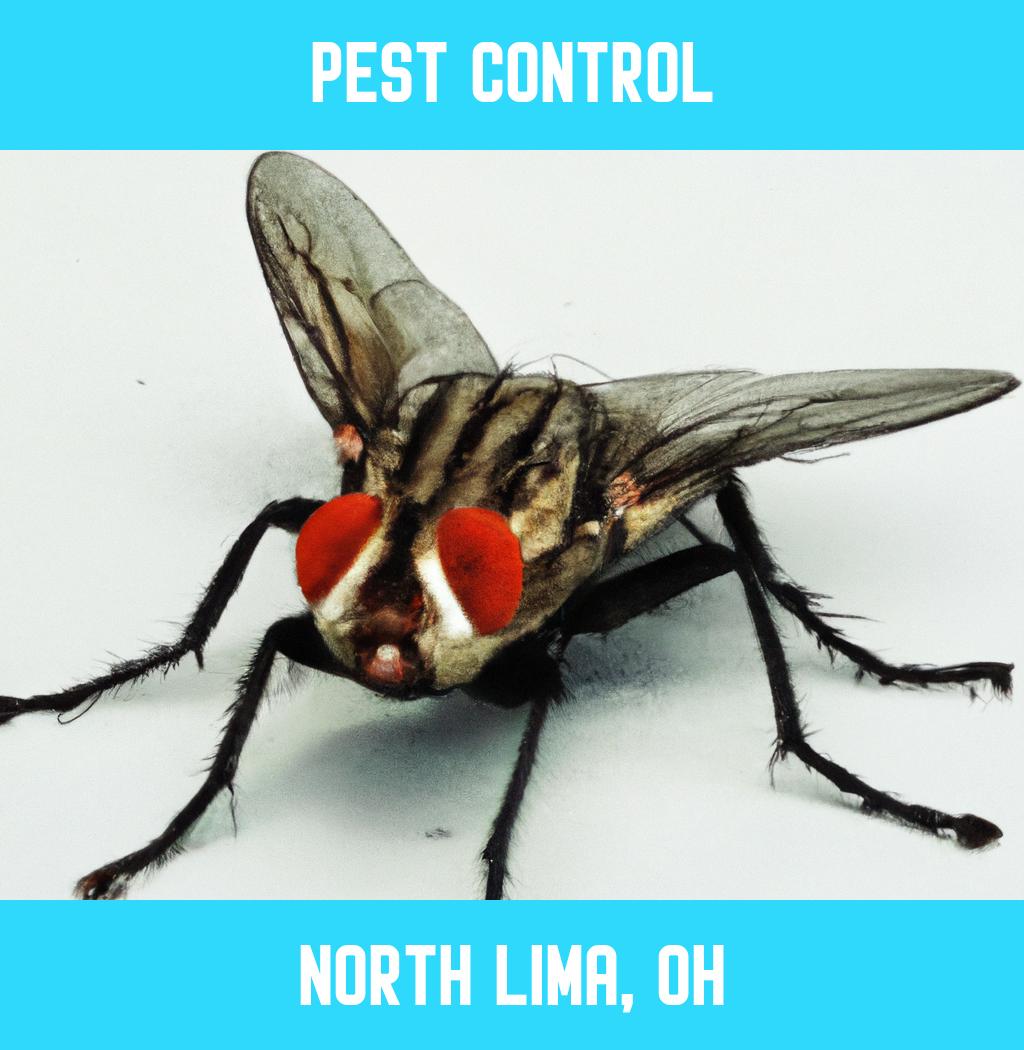 pest control in North Lima Ohio