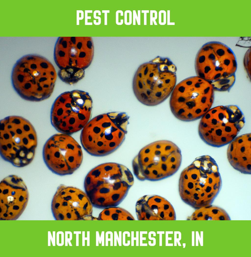 pest control in North Manchester Indiana