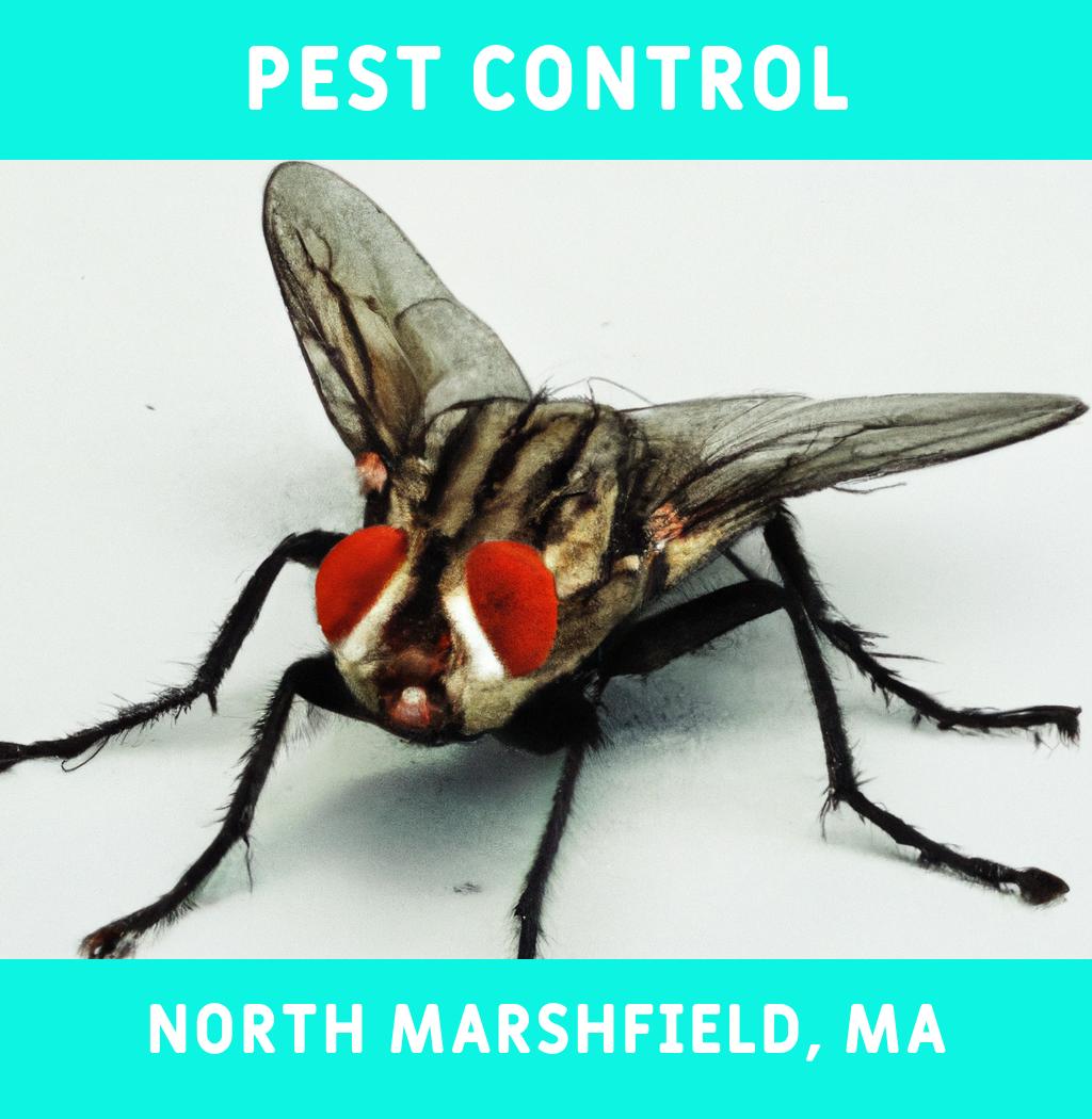 pest control in North Marshfield Massachusetts