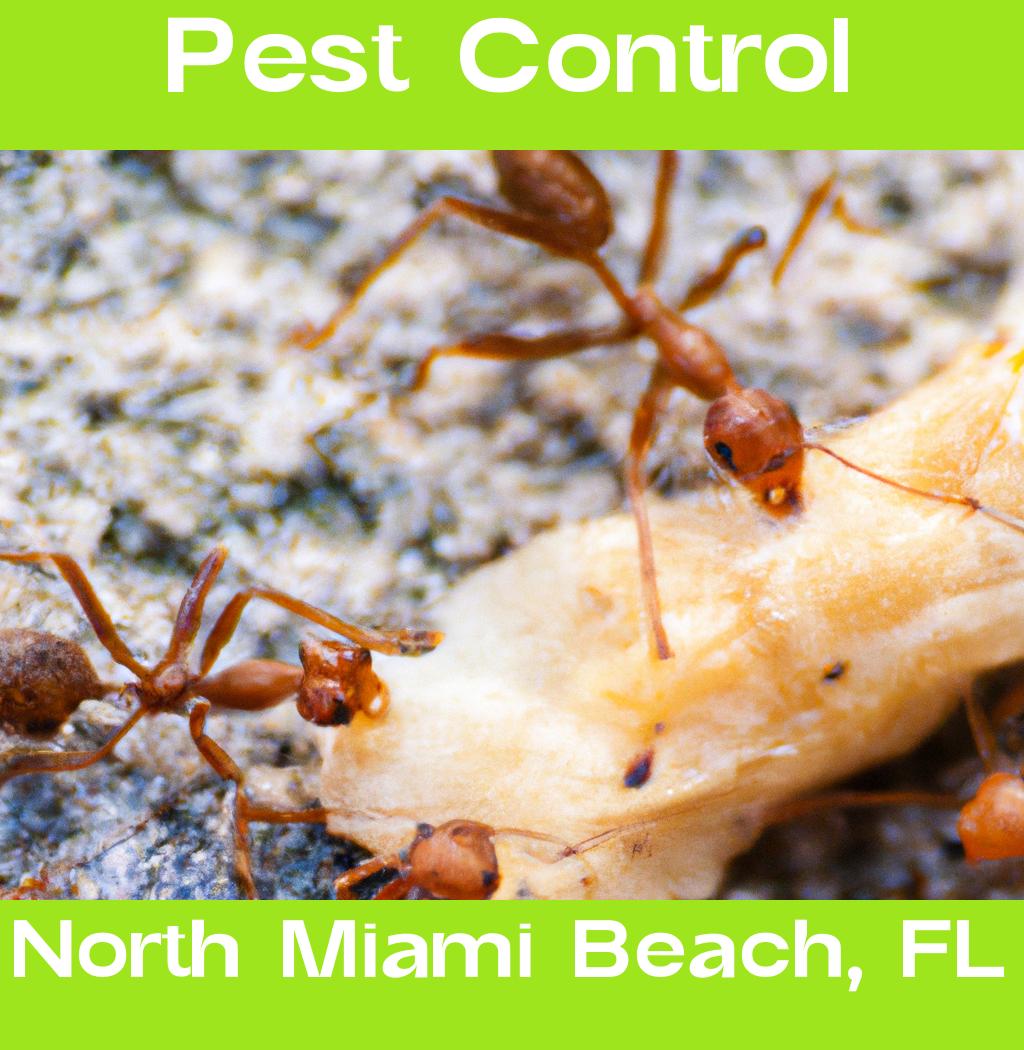 pest control in North Miami Beach Florida