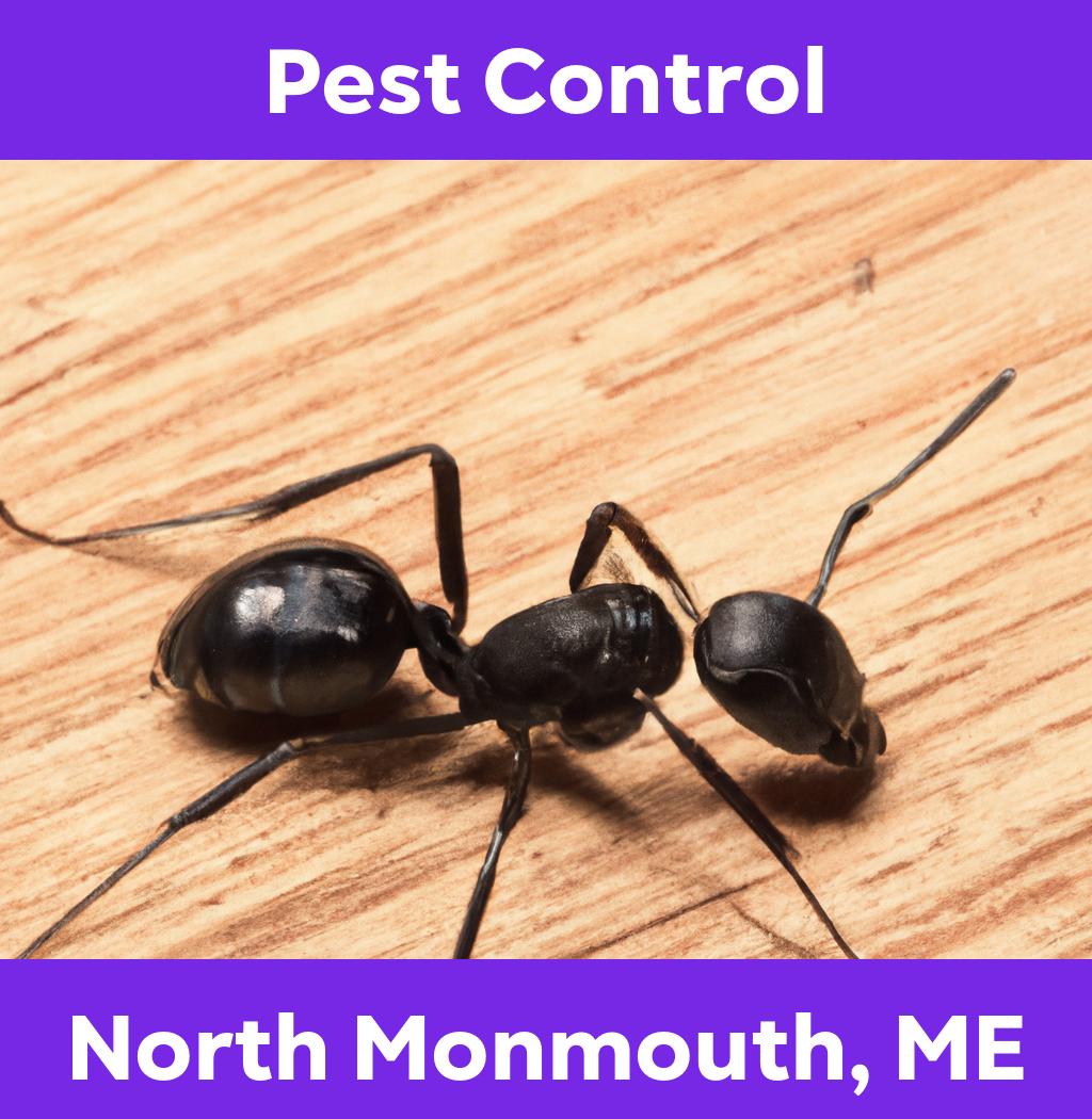 pest control in North Monmouth Maine