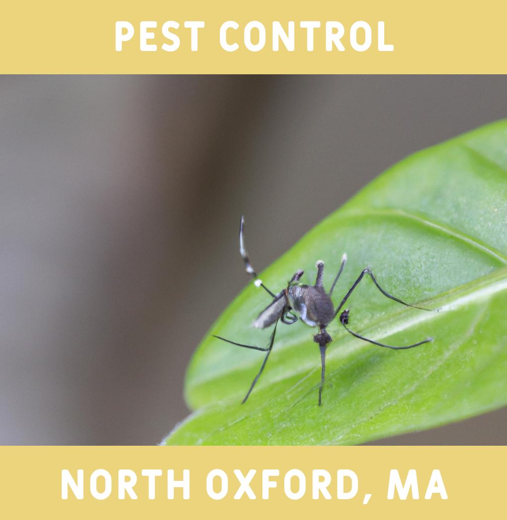 pest control in North Oxford Massachusetts