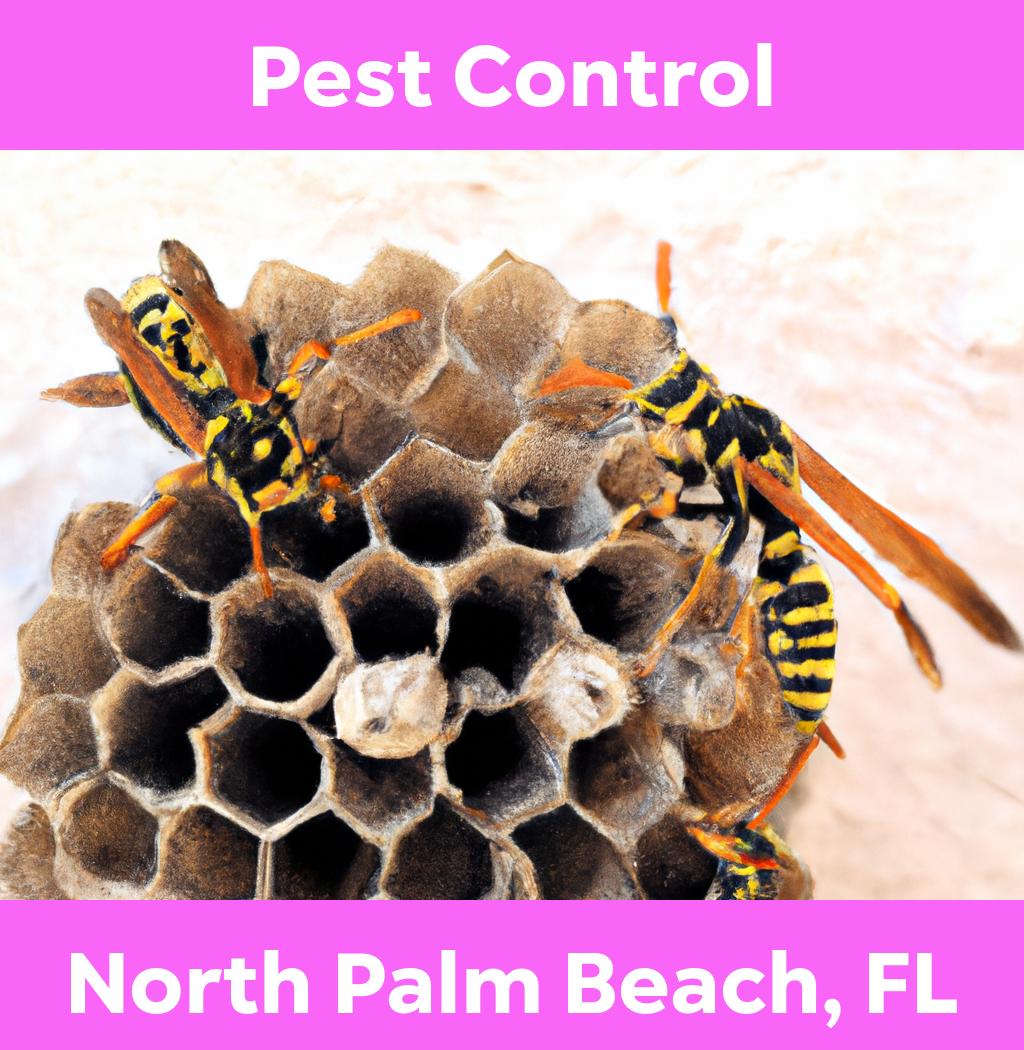 pest control in North Palm Beach Florida