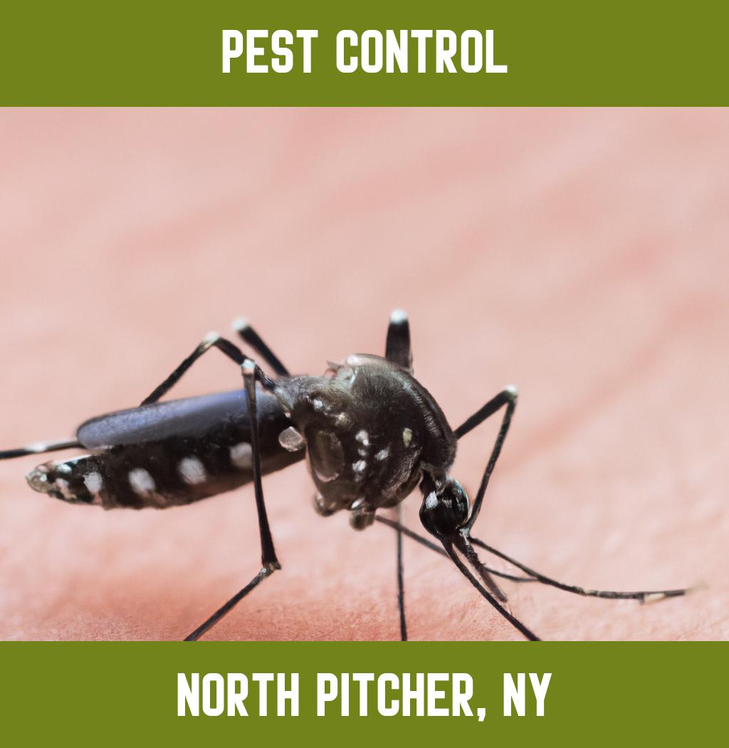 pest control in North Pitcher New York