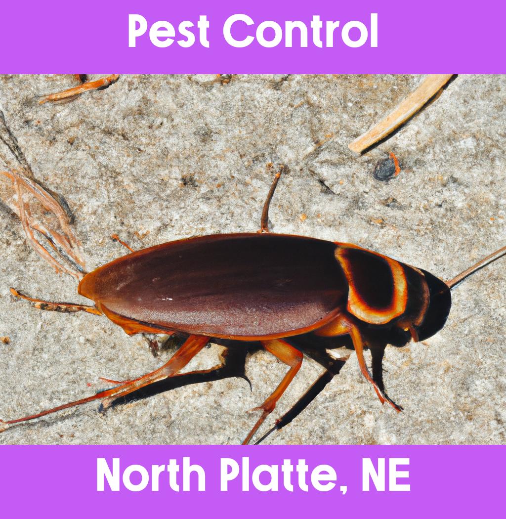 pest control in North Platte Nebraska