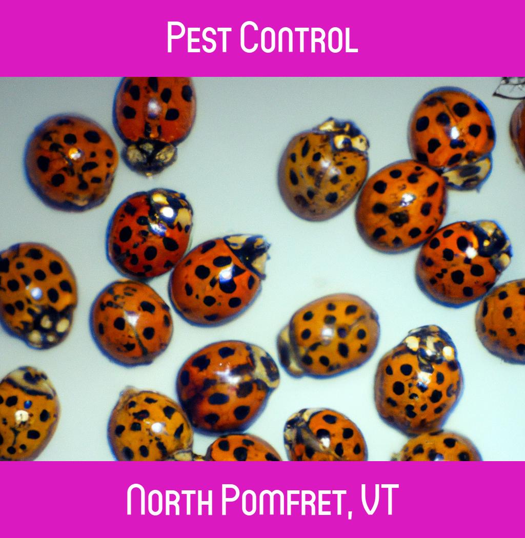 pest control in North Pomfret Vermont