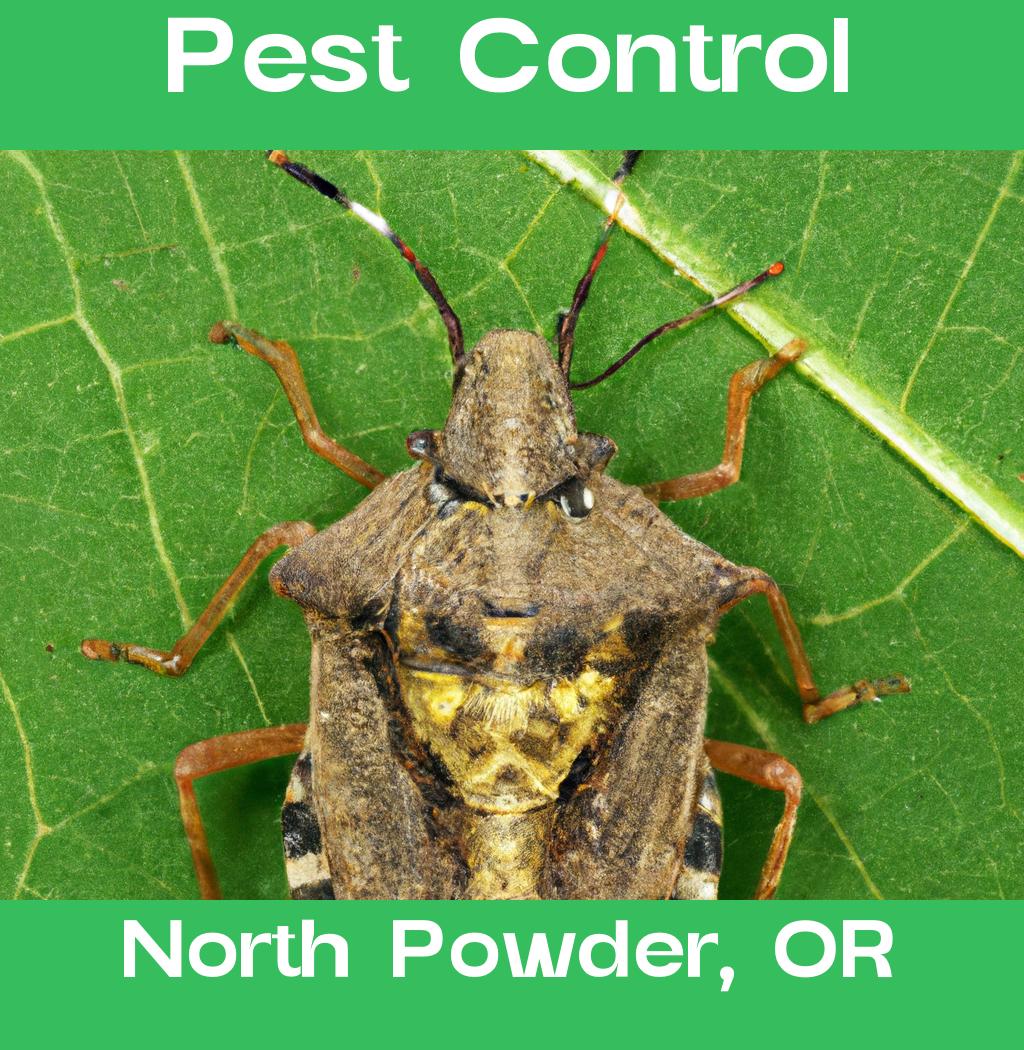 pest control in North Powder Oregon