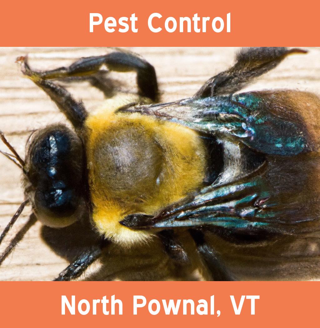 pest control in North Pownal Vermont