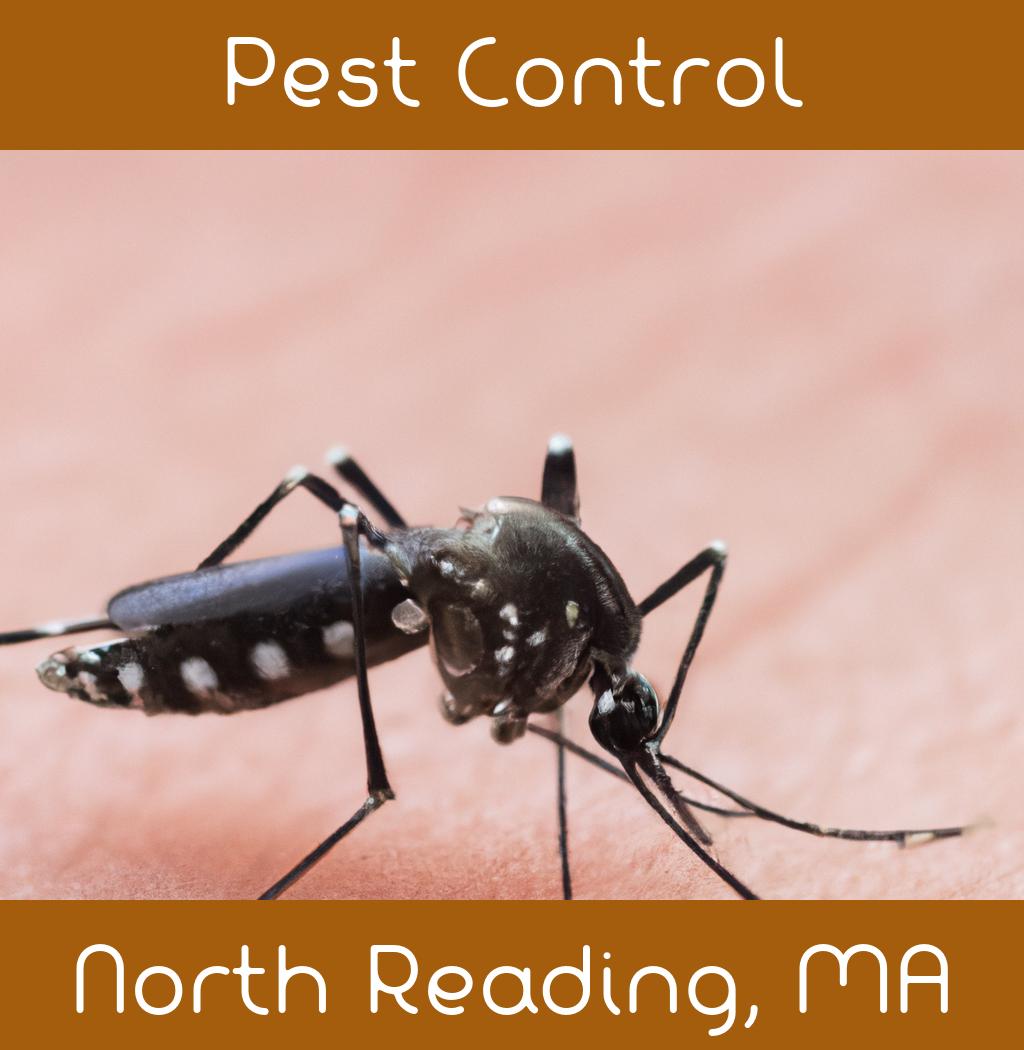 pest control in North Reading Massachusetts