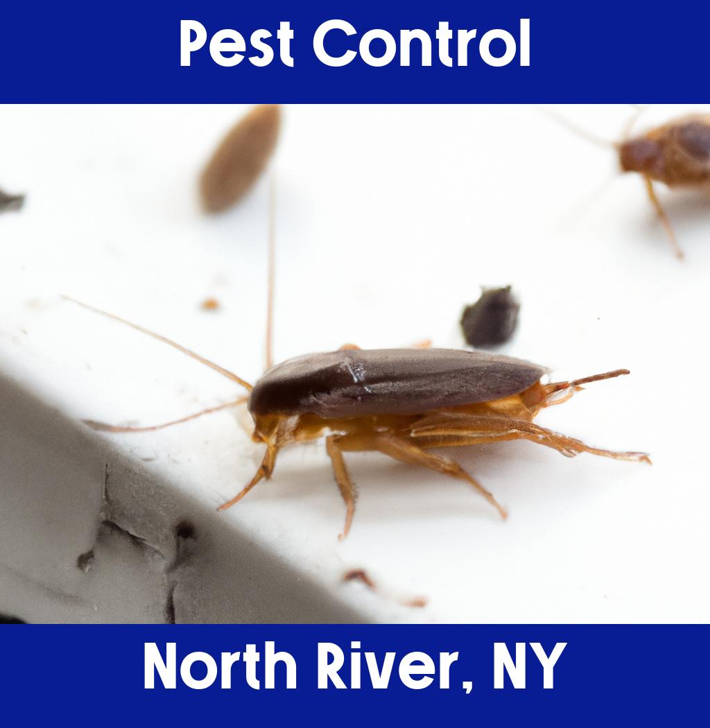 pest control in North River New York