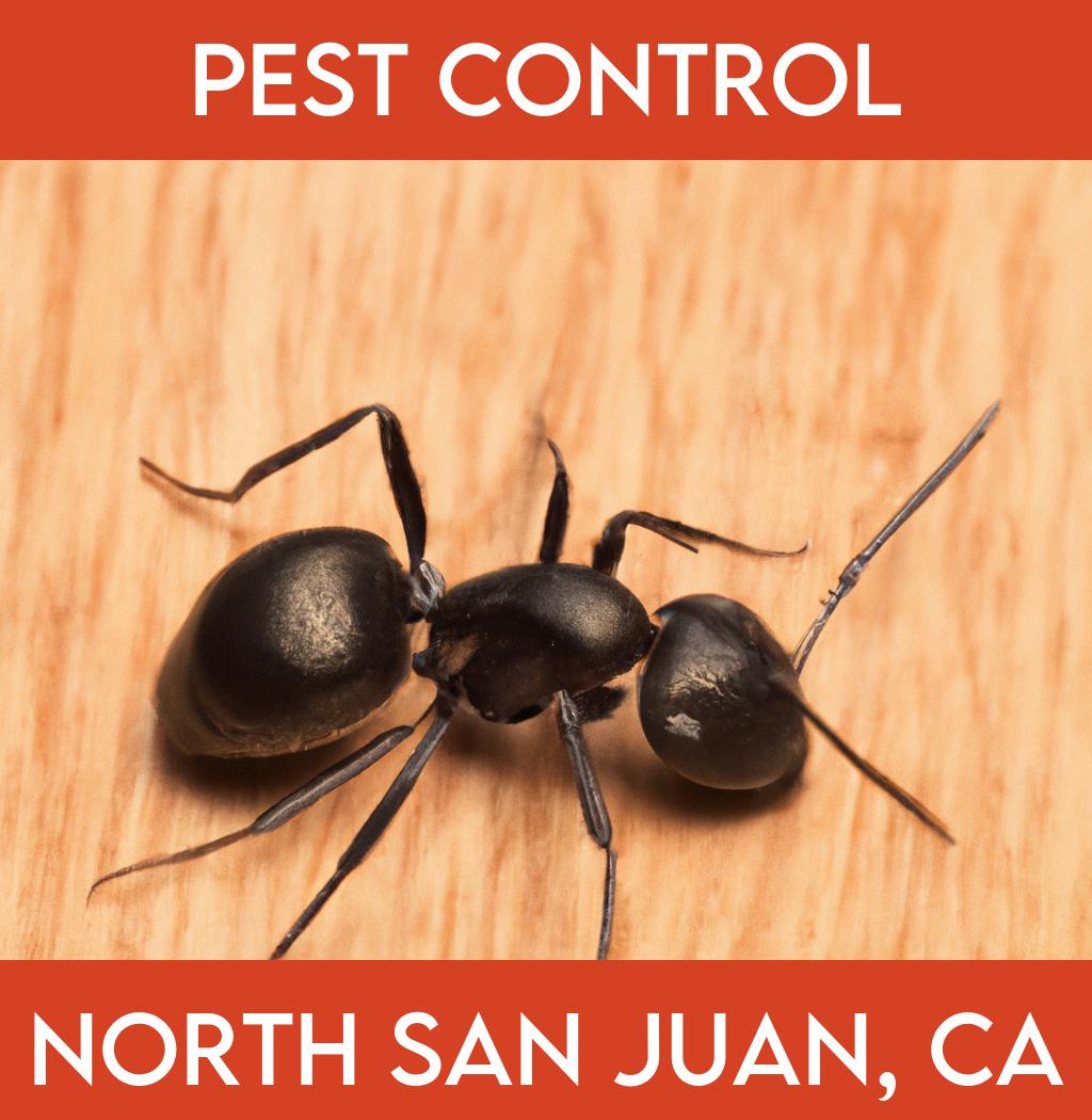 pest control in North San Juan California