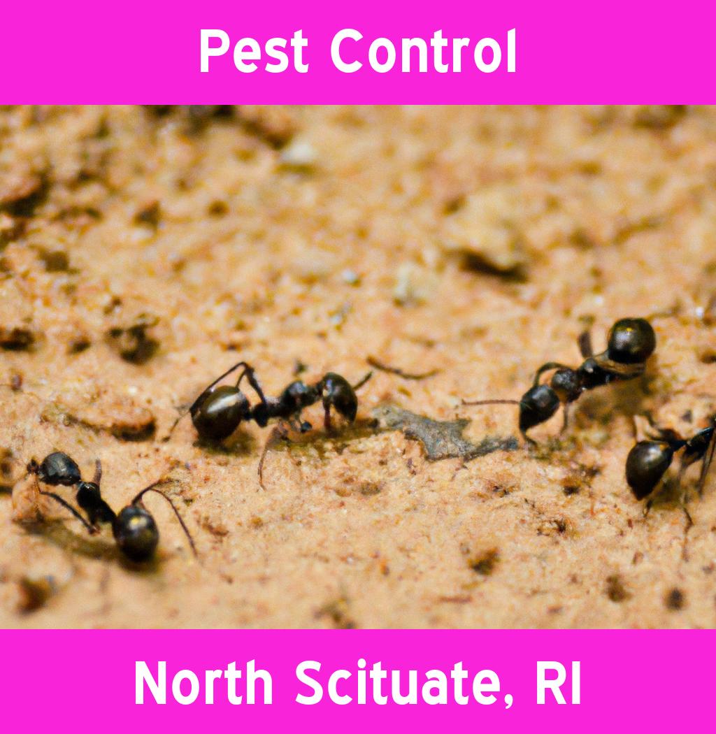 pest control in North Scituate Rhode Island