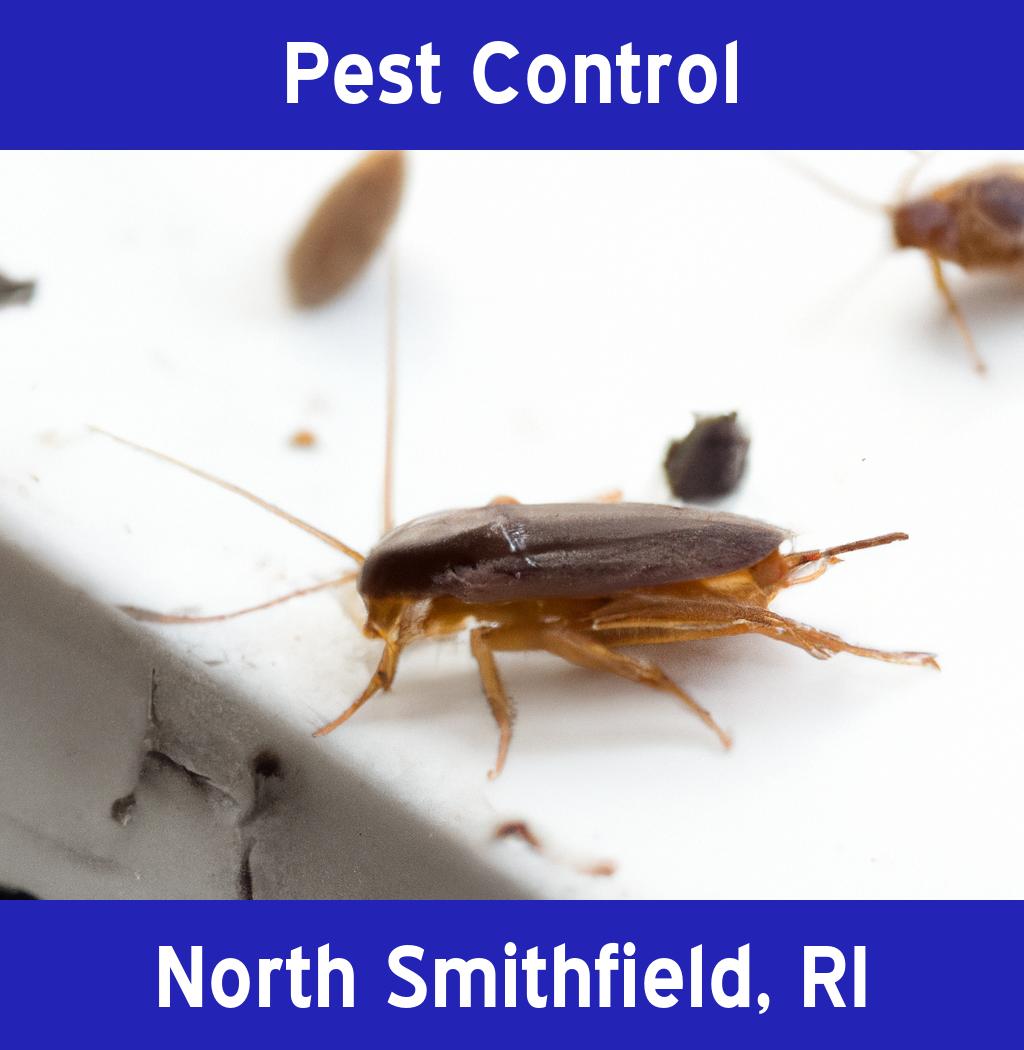 pest control in North Smithfield Rhode Island