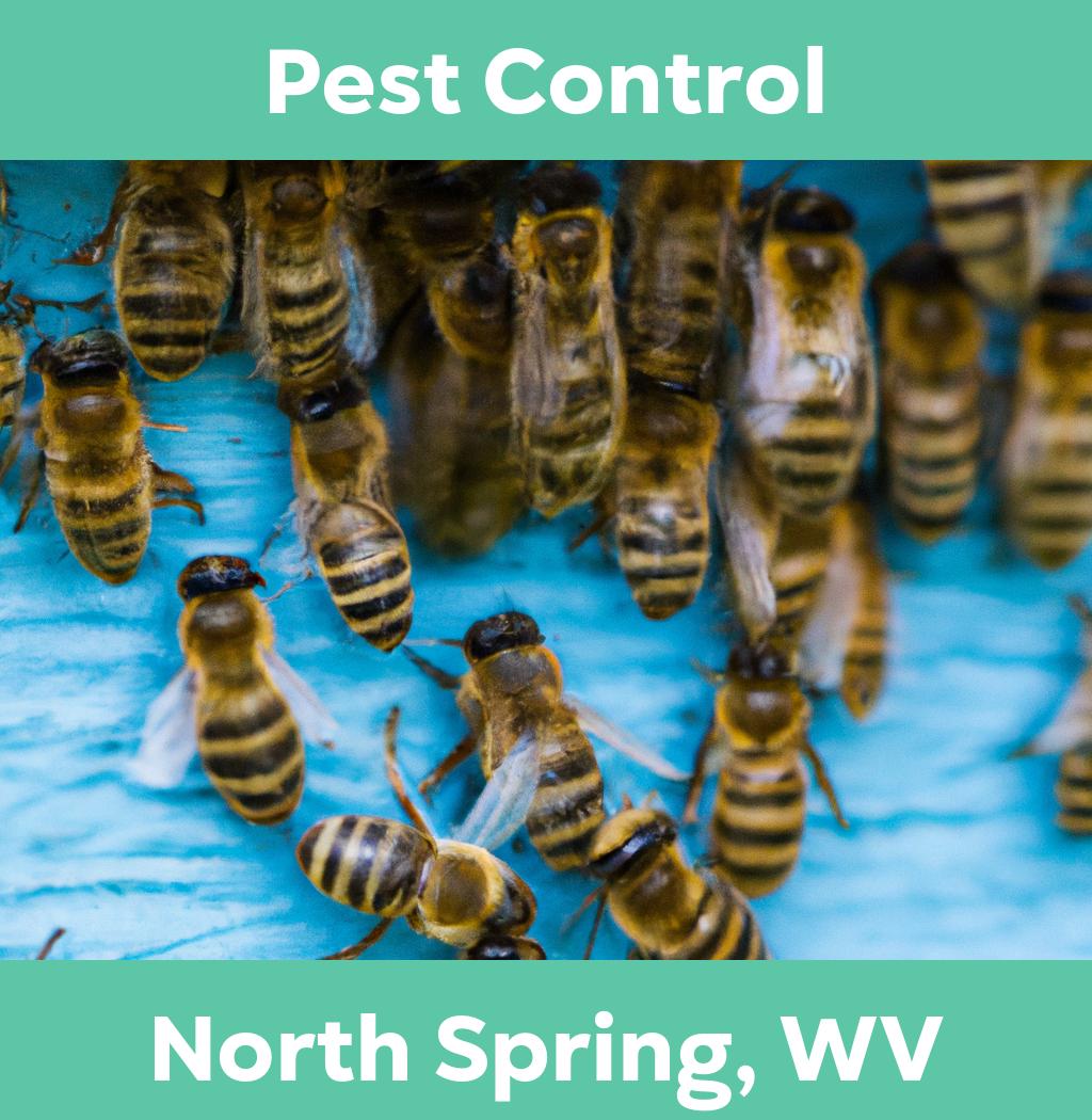 pest control in North Spring West Virginia