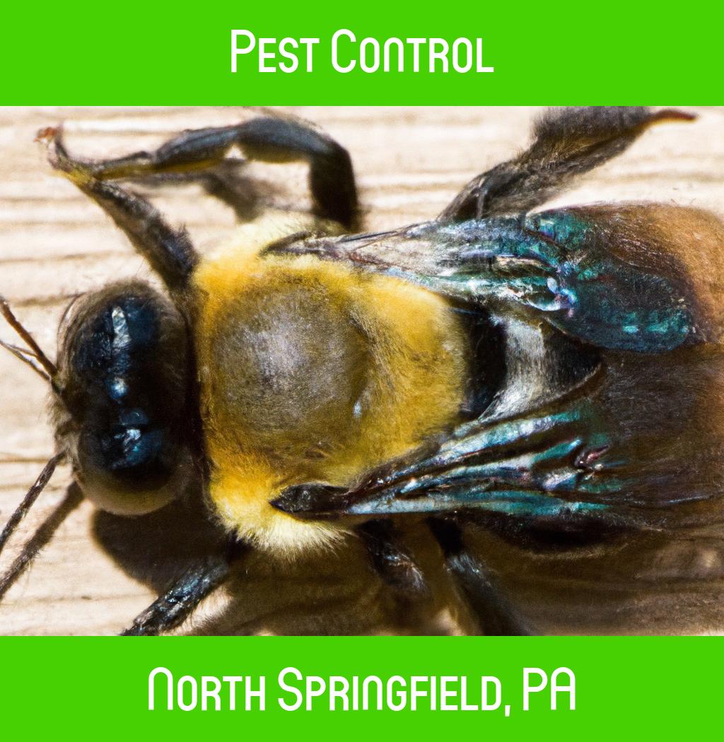 pest control in North Springfield Pennsylvania