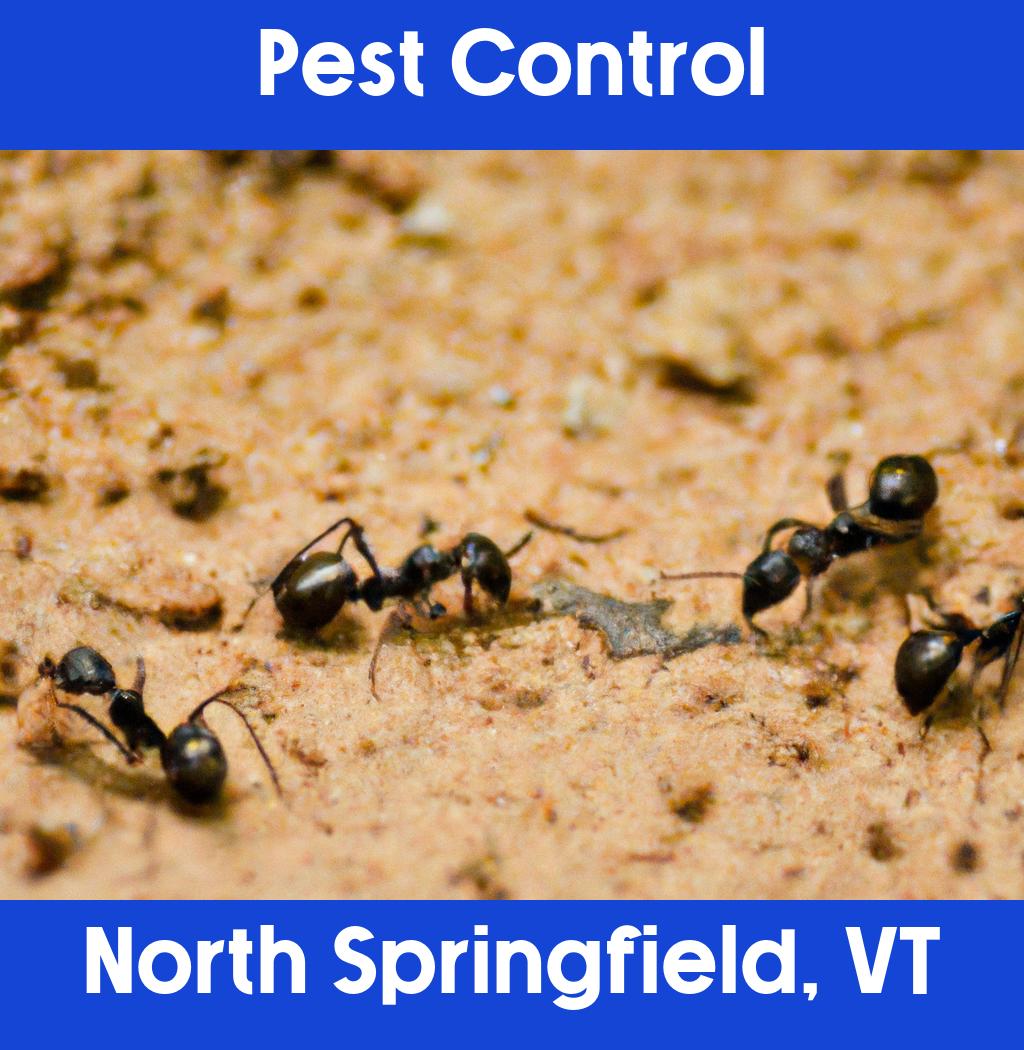 pest control in North Springfield Vermont